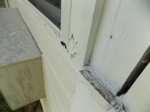 Exterior siding & trim