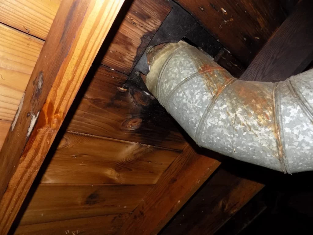 Leaky roof spotted from attic