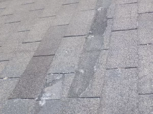 wind damaged shingles